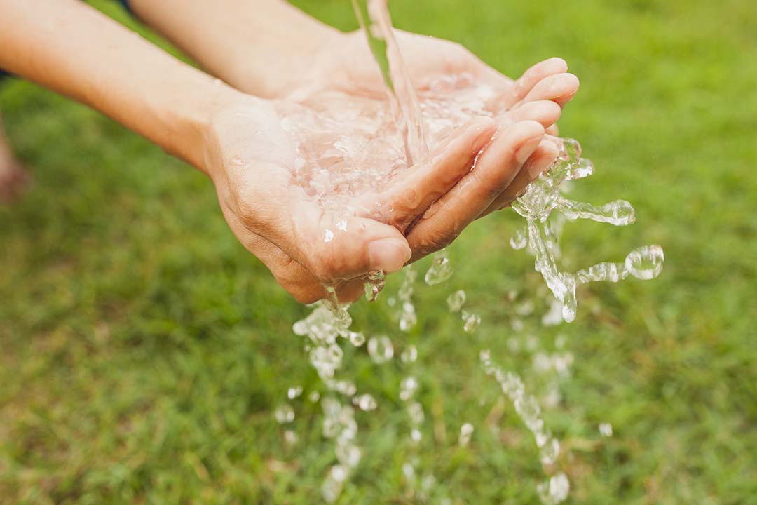 DIA MUNDIAL DA ÁGUA: Sanesul promove mais um ano de ações sobre o uso consciente                                                                                                                                                                                                                                                                                                                                                                                                                                    